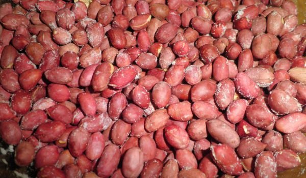 ФЪСТЪК ДРЕБЕН ПЕЧЕН 200 гр